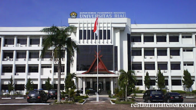 Pekanbaru Memiliki Universitas Terbaik