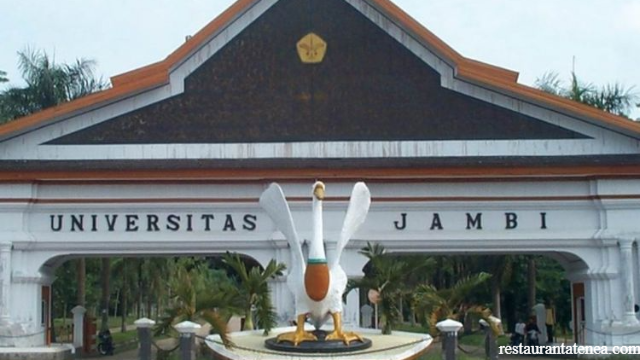 Universitas Terbaik Di Jambi