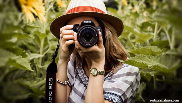 Rekomendasi Universitas Jurusan Fotografi Di Indonesia