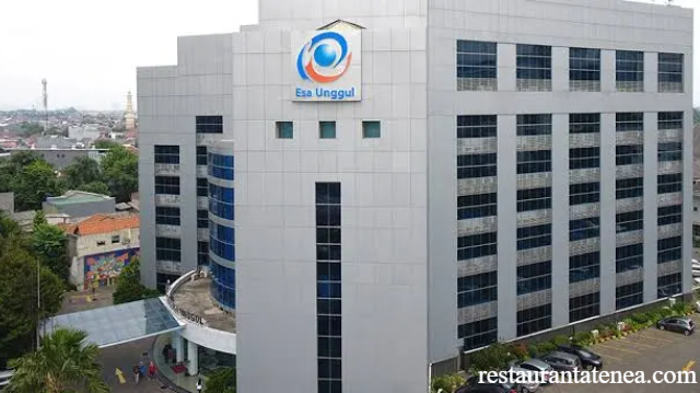 Rekomendasi Beasiswa S1 Universitas Esa Unggul